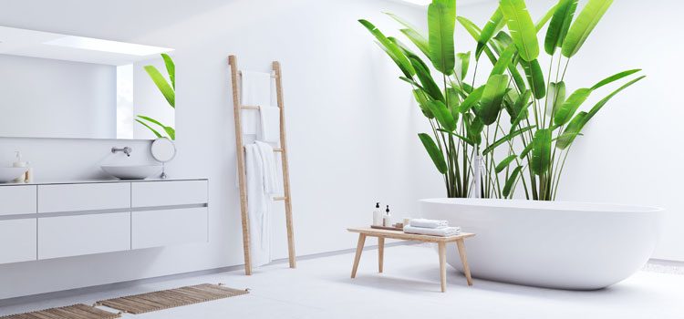 Plantes tropicales dans une salle de bain lumineuse