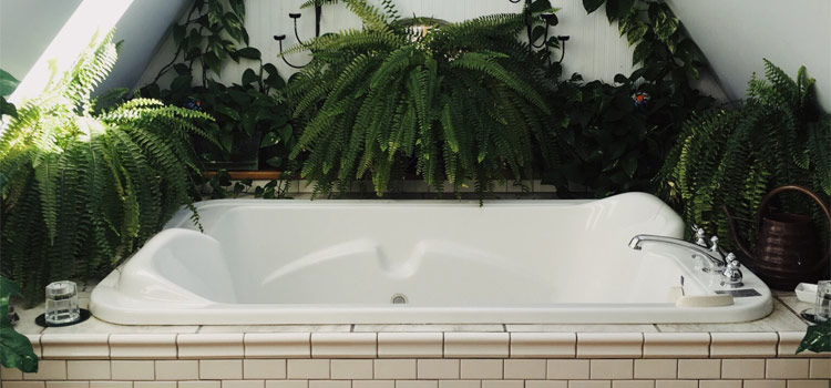 Baignoire Jacuzzi, entourée par des plantes vertes.