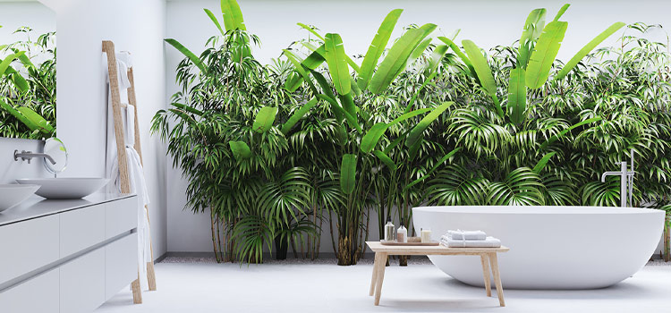 Visuel d'ambiance d'une salle de bains exotique avec beaucoup de végétation