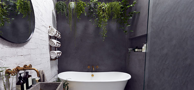 Une salle de bain blanc et gris avec des touches de verdure